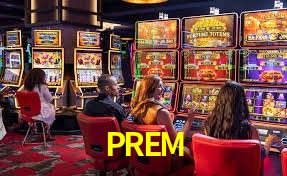 PREM ¿Qué información cubre esta sección de preguntas frecuentes?